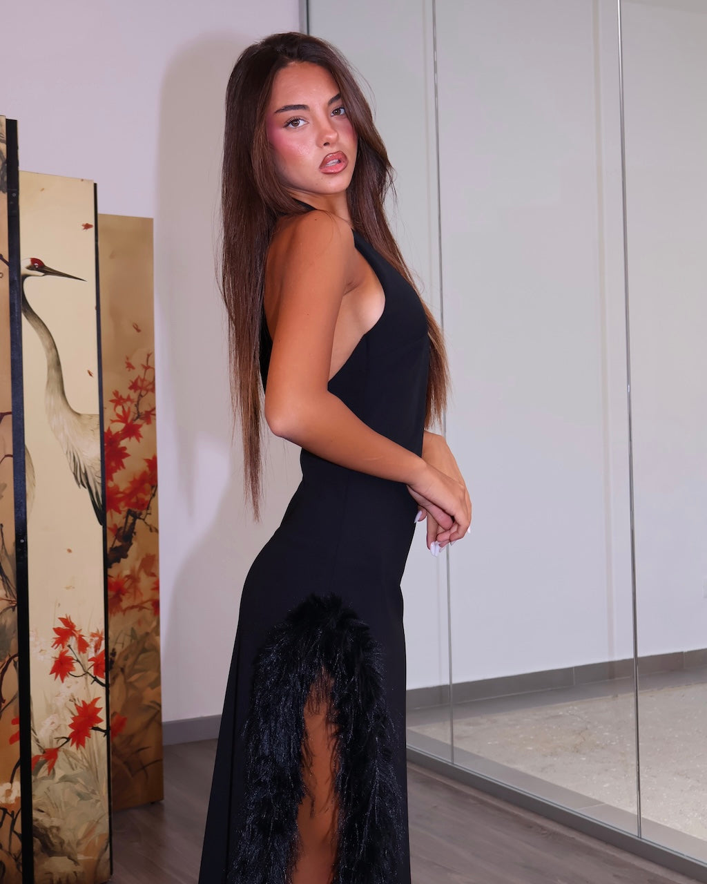 DRESS PLUMAGE
